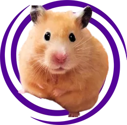 Gonzales Hamster Özellikleri ve Bakımı