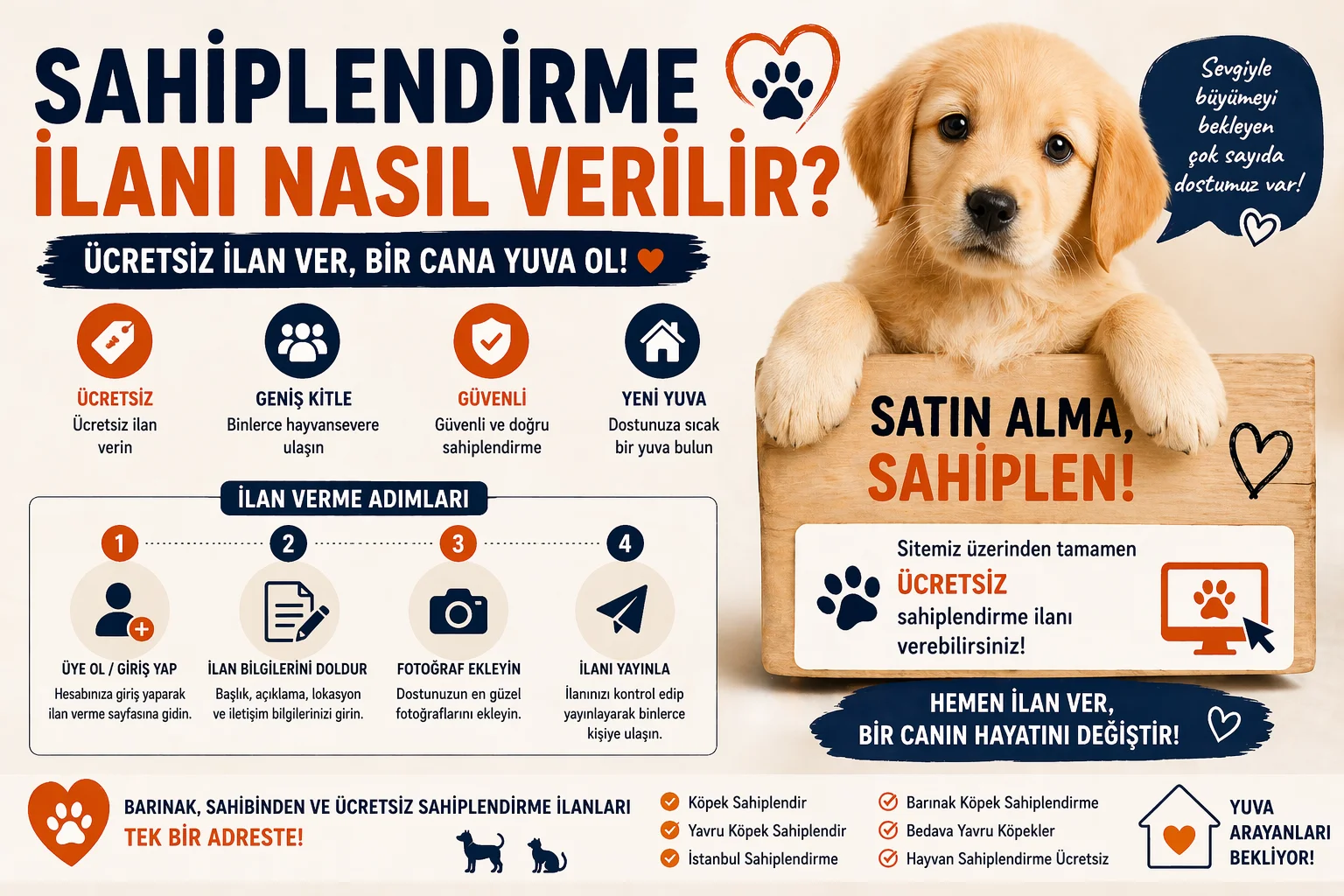 Sahiplendirme İlanı Nasıl Verilir? (Ücretsiz ve Etkili Rehber)