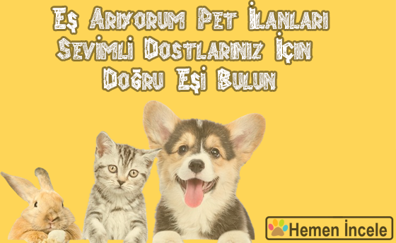 Eş Arıyorum