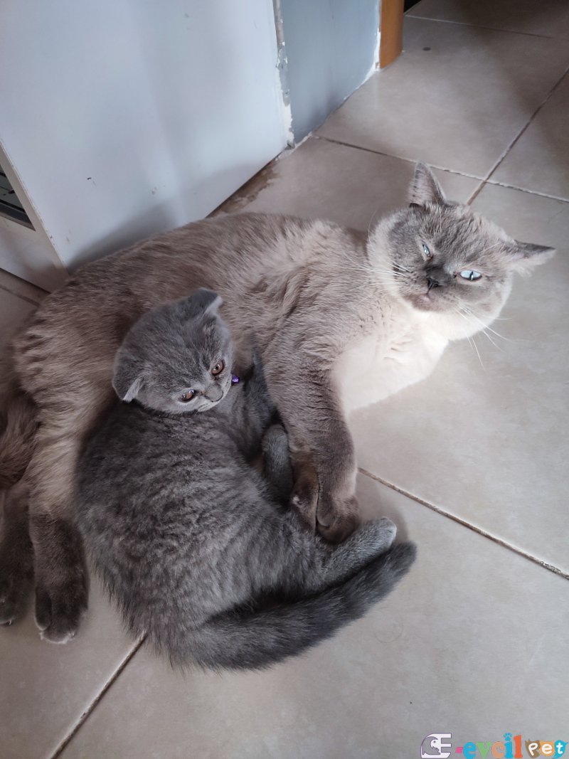 Yavrumuz yeni ailesini bekliyor