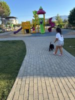 Toy Poodle Karam - Ücretsiz Yuva Arıyorum