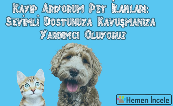 Kayıp Arıyorum