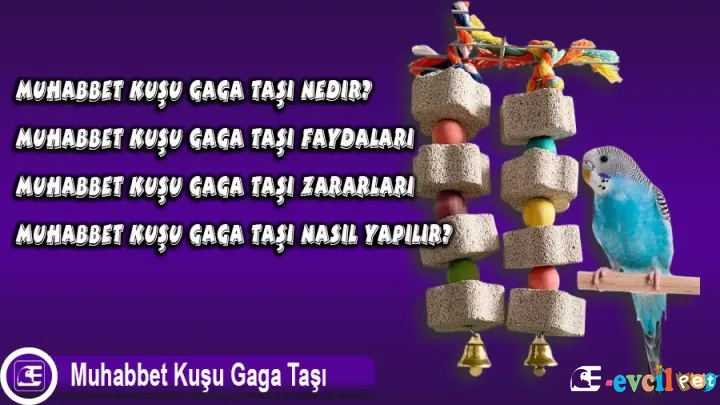 Mineral Blok Gaga Taşı Yapımı