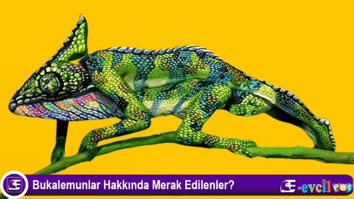 Bukalemun