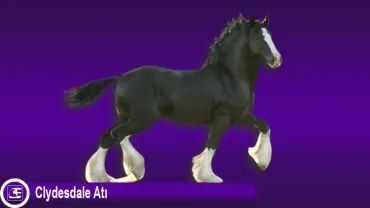 Clydesdale Atı