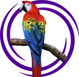 Ara Macaw Papağanı