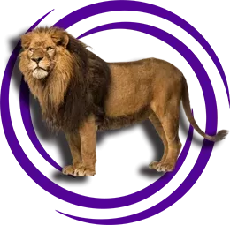 Aslan
