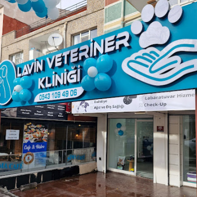 Lavin Mamak Veteriner Kliniği