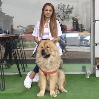 VETALİN VETERİNER KLİNİĞİ