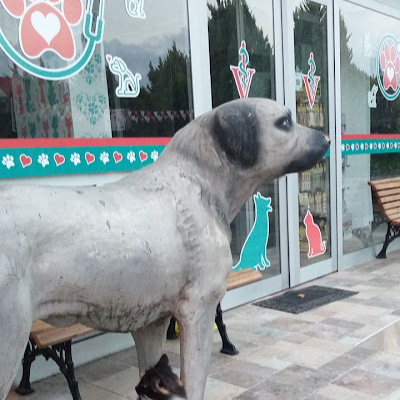 KULÜP VETERİNER KLİNİĞİ