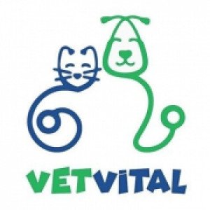VetVital Veteriner Polikliniği