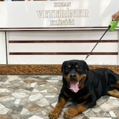 KOZAN VETERİNER KLİNİĞİ
