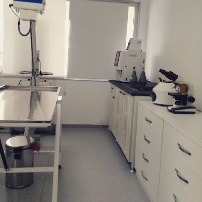 Mayada Veteriner Kliniği