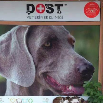 DOST VETERİNER KLİNİĞİ 7/24