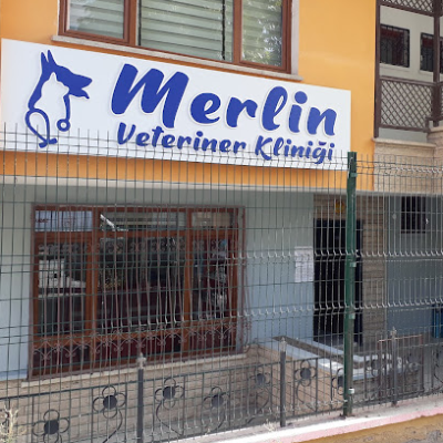 Merlin Veteriner Kliniği