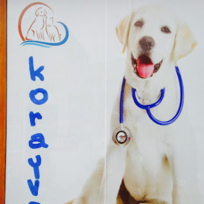 KORAYVET POLATLI VETERİNER KLİNİĞİ