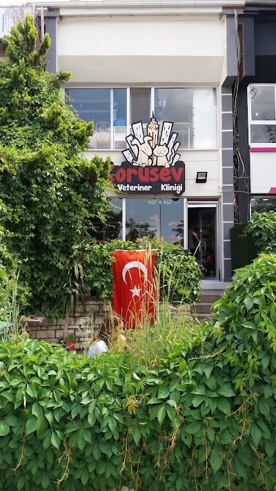 Vetroom Korusev Hayvan Hastanesi