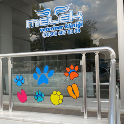 melek veteriner kliniği