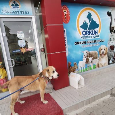 Orkun Veteriner Kliniği