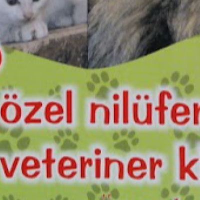 Ozel Nilufer Veteriner Klinigi