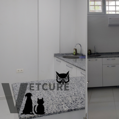 Vetcur Aliağa veteriner polikliniği