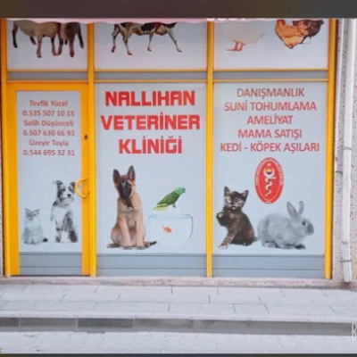 Nallihan Veteriner Klinigi