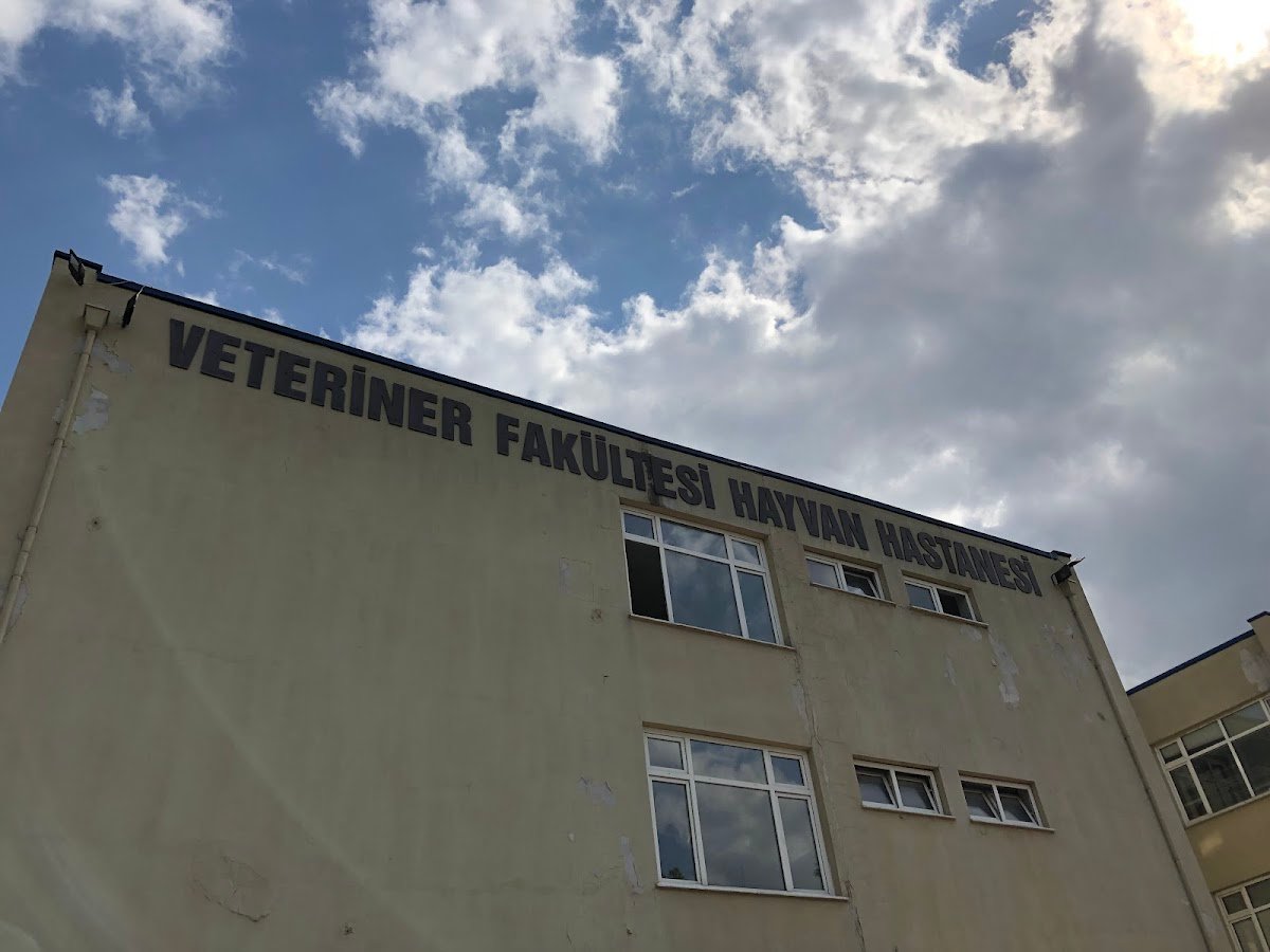Veterinerlik Fakültesi Hayvan Hastanesi