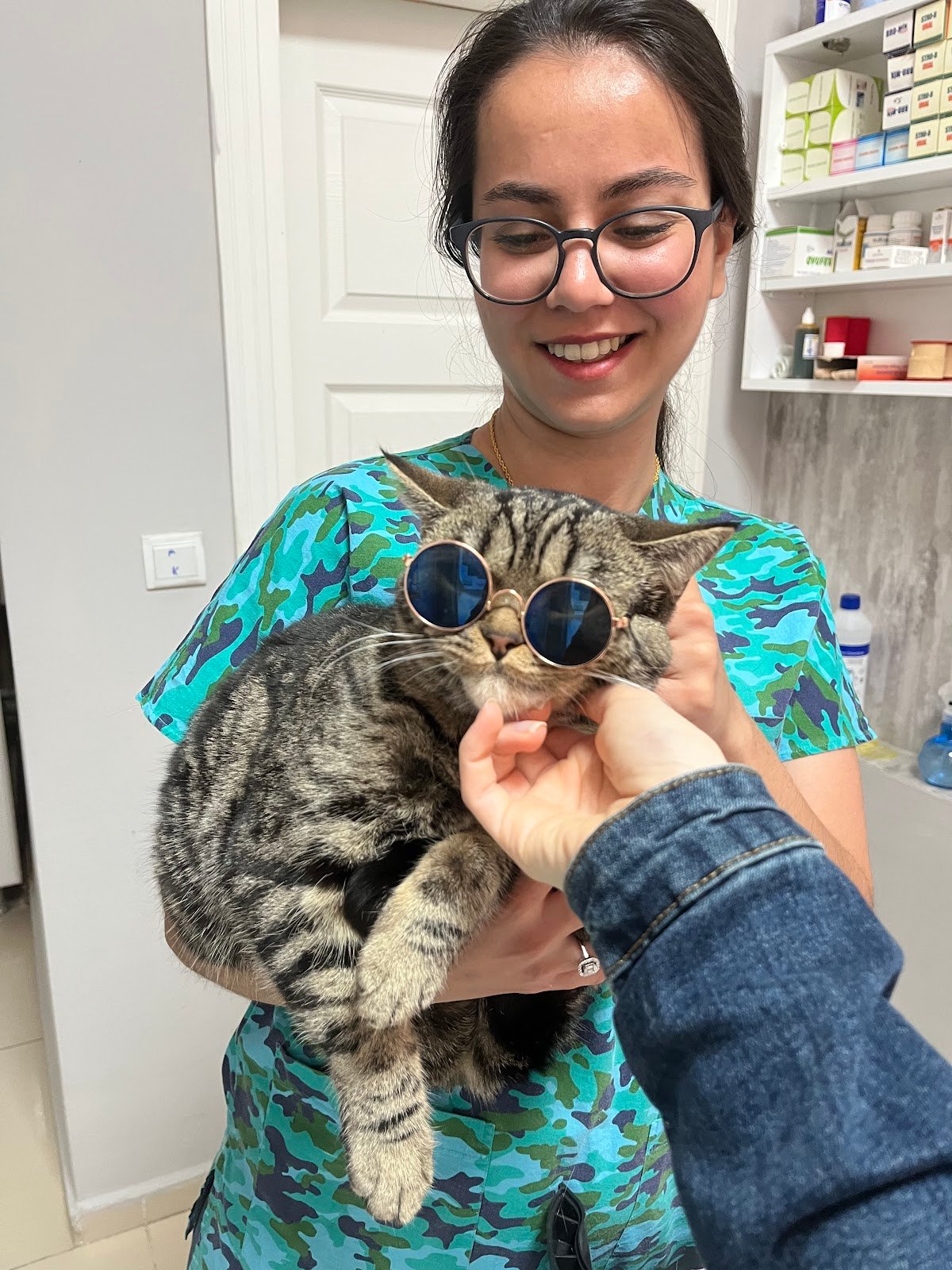 M.V. PET VETERİNER KLİNİĞİ
