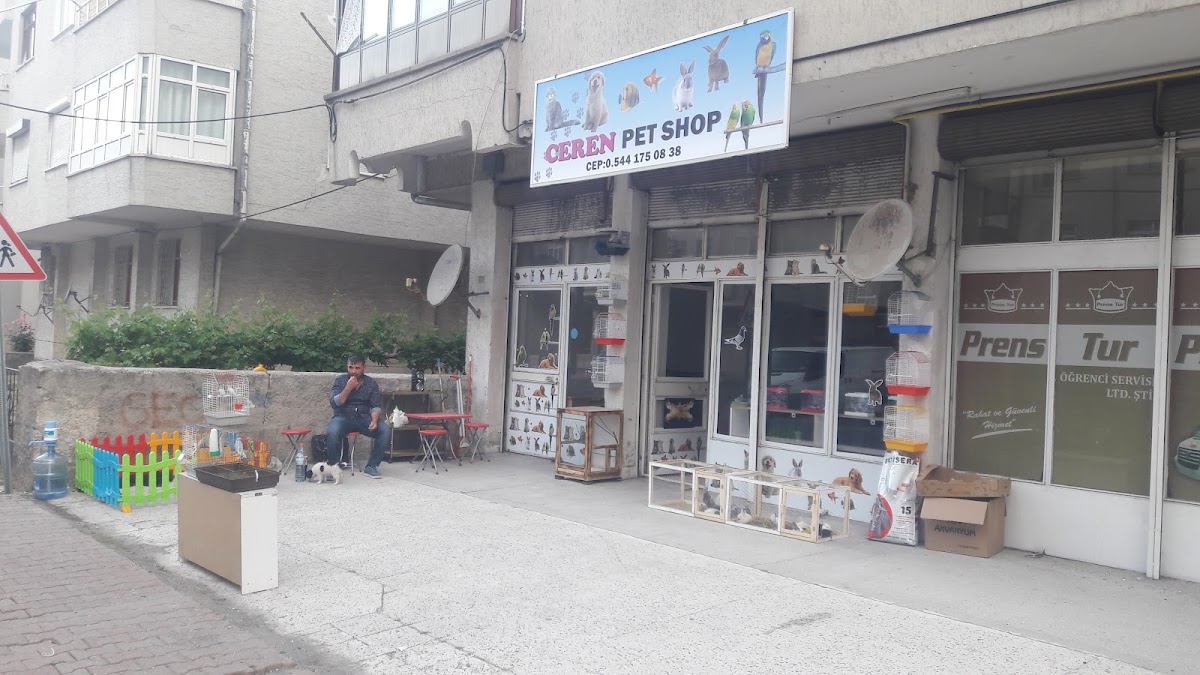 Ceren Petshop Kayseri