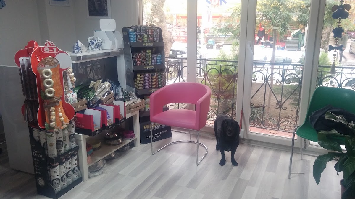 Patili Veteriner Kliniği