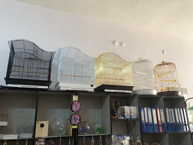 Hobi Pet Shop