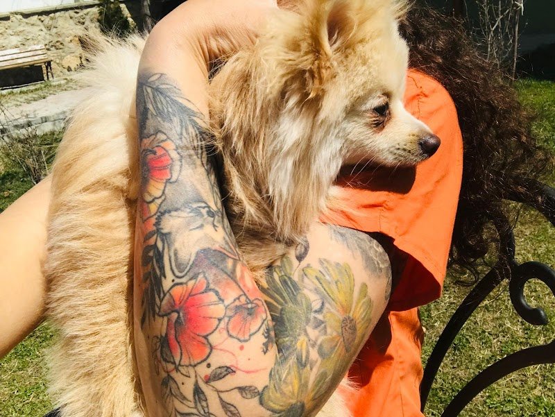 Van Edremit Doğa Pet Veteriner Kliniği ve Köpek Oteli