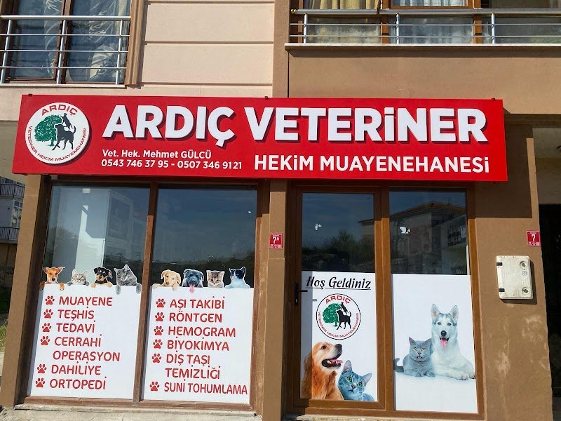 Ardıç Veteriner Kliniği (eski sempati)
