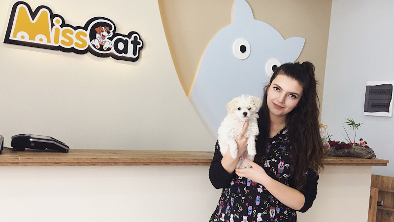 Miss Cat Veteriner Kliniği