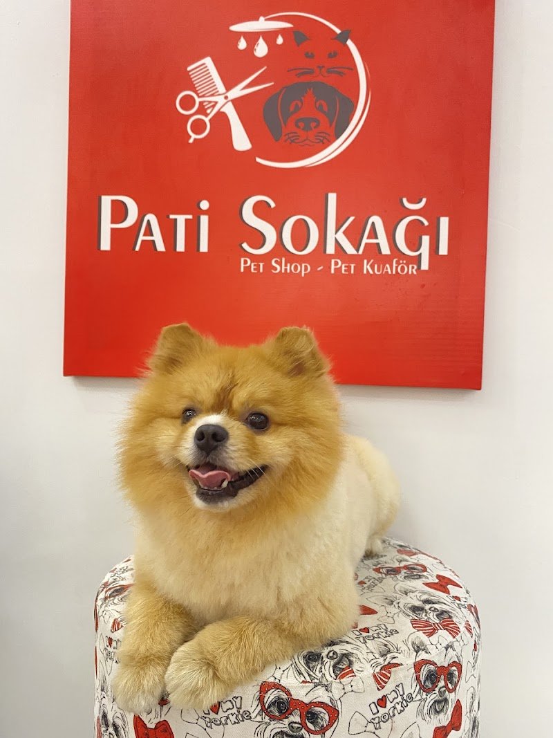 Pati Sokağı Pet Shop & Pet Kuaför & Pet Butik