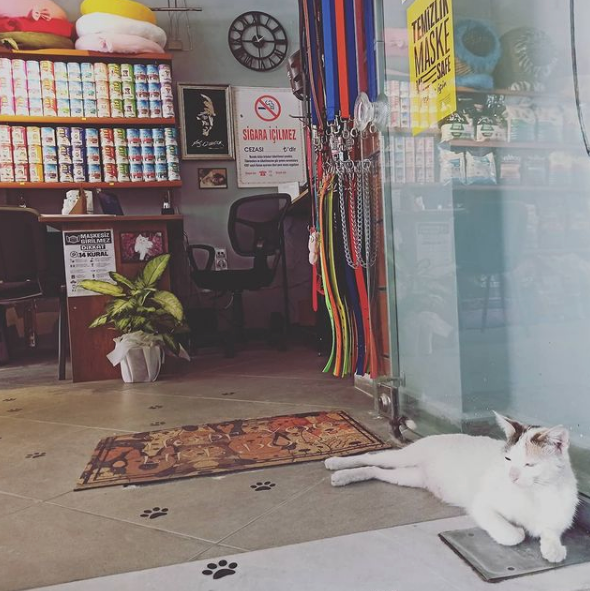 Hera Pet Shop