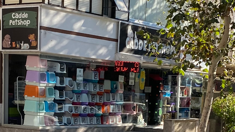 Cadde Petshop