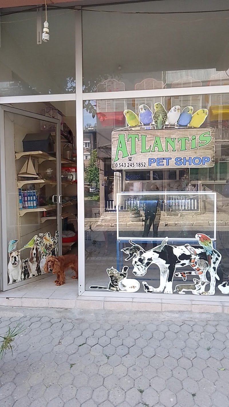 ATLANTİS PETSHOP YENİPAZAR/AYDIN 🐶🦜🐟🐬🐈‍⬛😻🐱🇹🇷