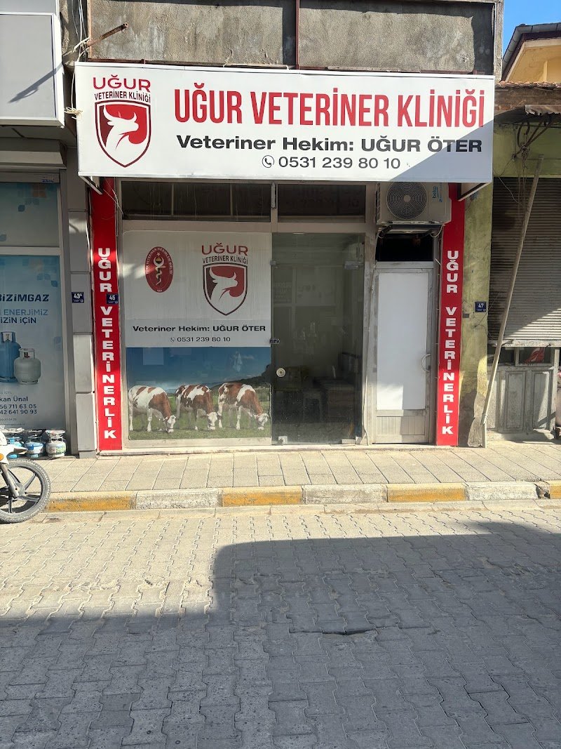 Veteriner Hekim Uğur ÖTER