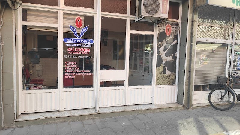 Gökbörü veteriner kliniği