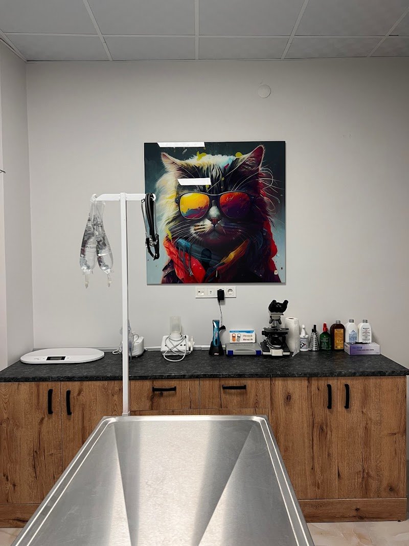 anbarcı veteriner kliniği