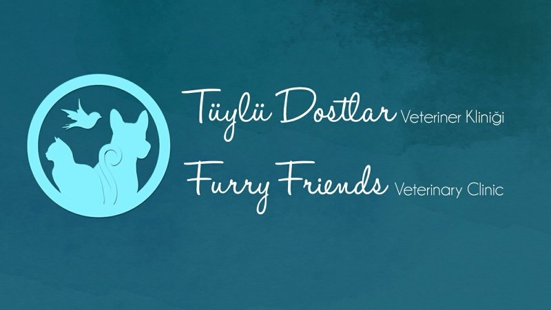 Tüylü Dostlar Veteriner Kliniği
