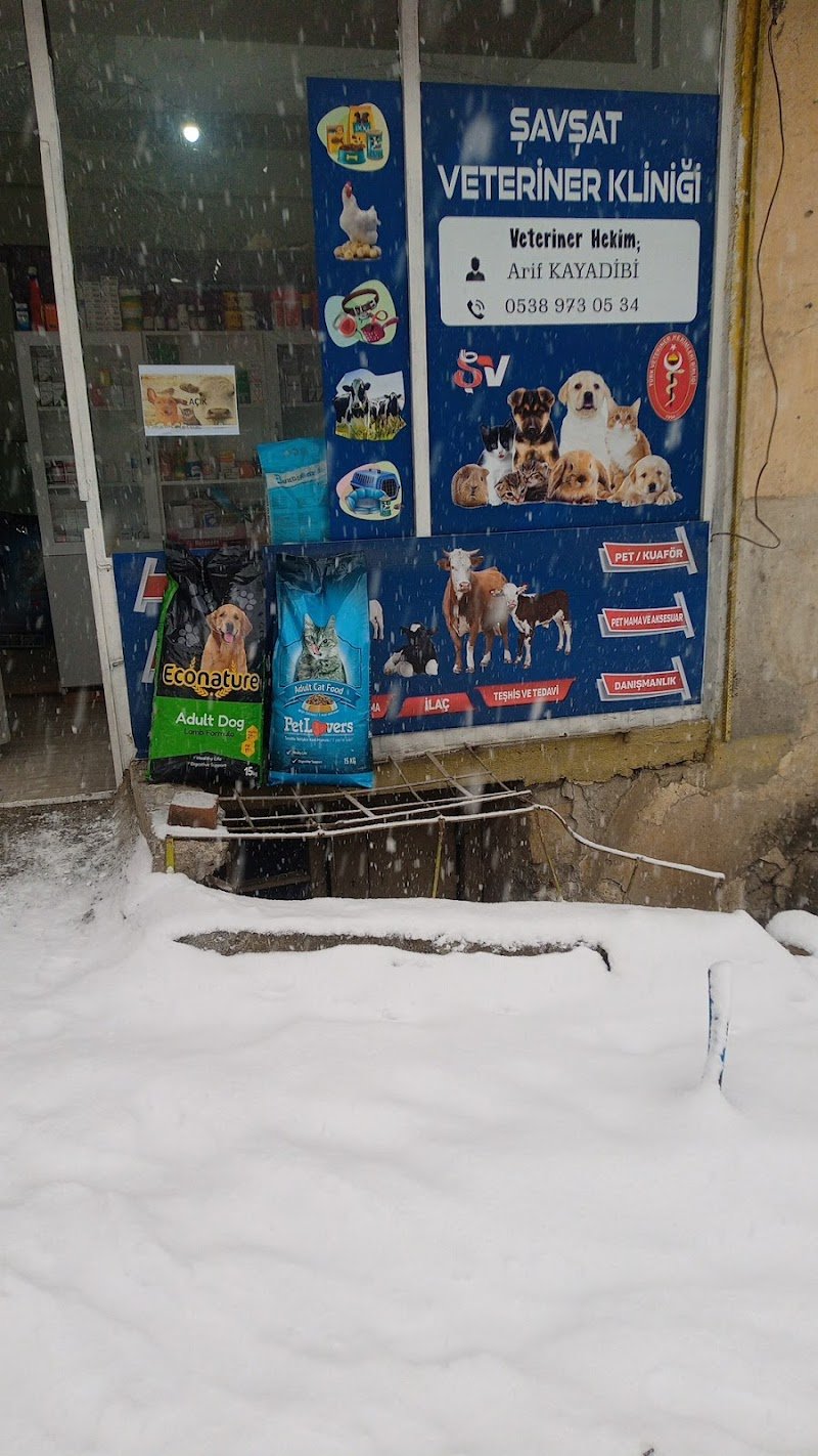 Şavşat veteriner kliniği