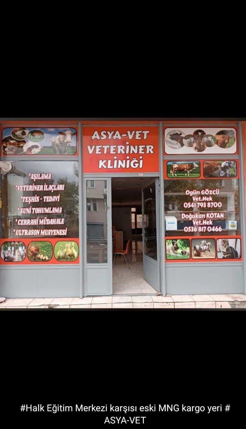 Asya-vet veteriner kliniği