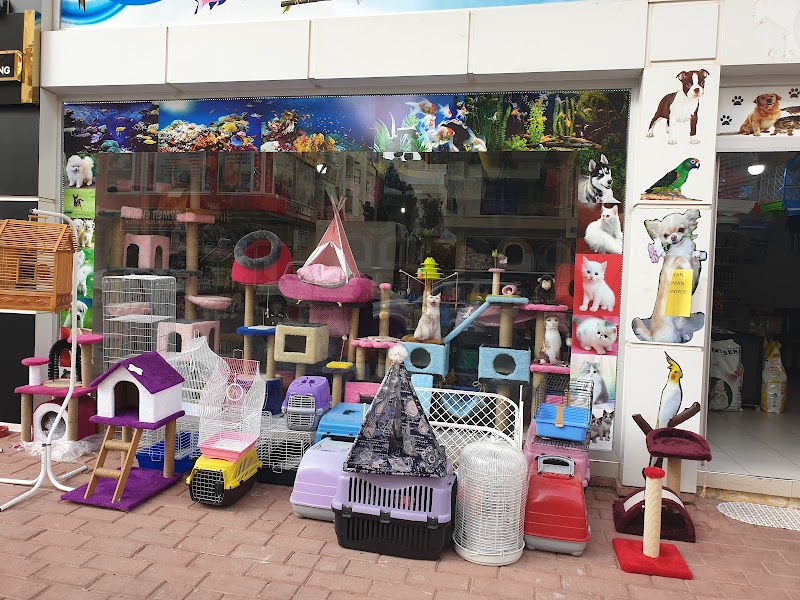Mahmutlar Fundy Petshop Kedi ve Köpek Maması & Aksesuarlar