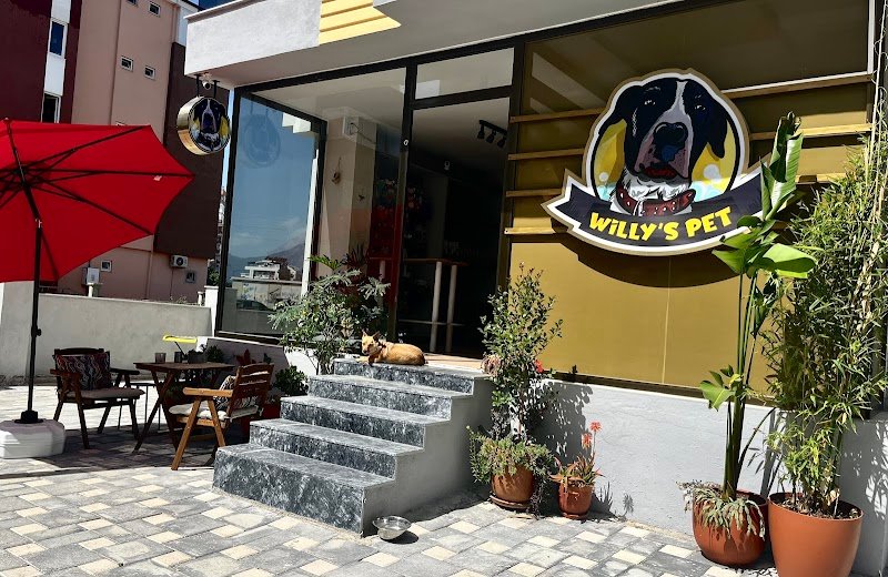 Willy’s Pet 🌼 Groomer Antalya 🌼