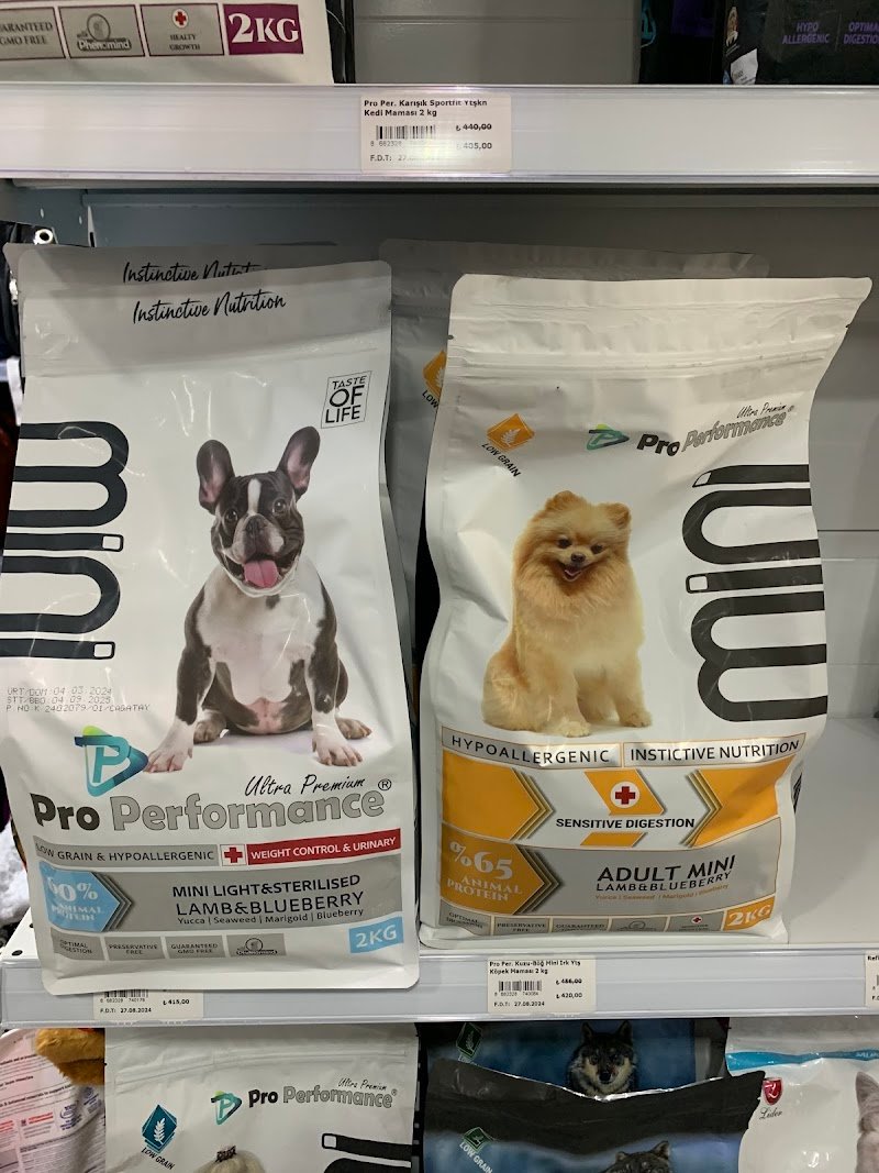 Atlantis Pet Shop