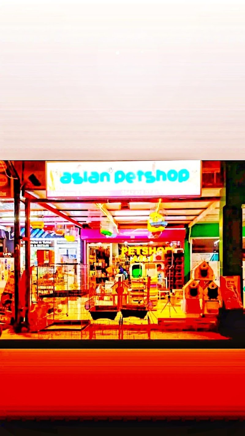 Aslan PETSHOP