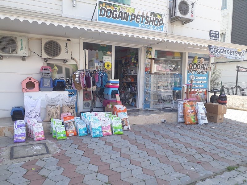 DOĞAN PETSHOP(AHATLI)