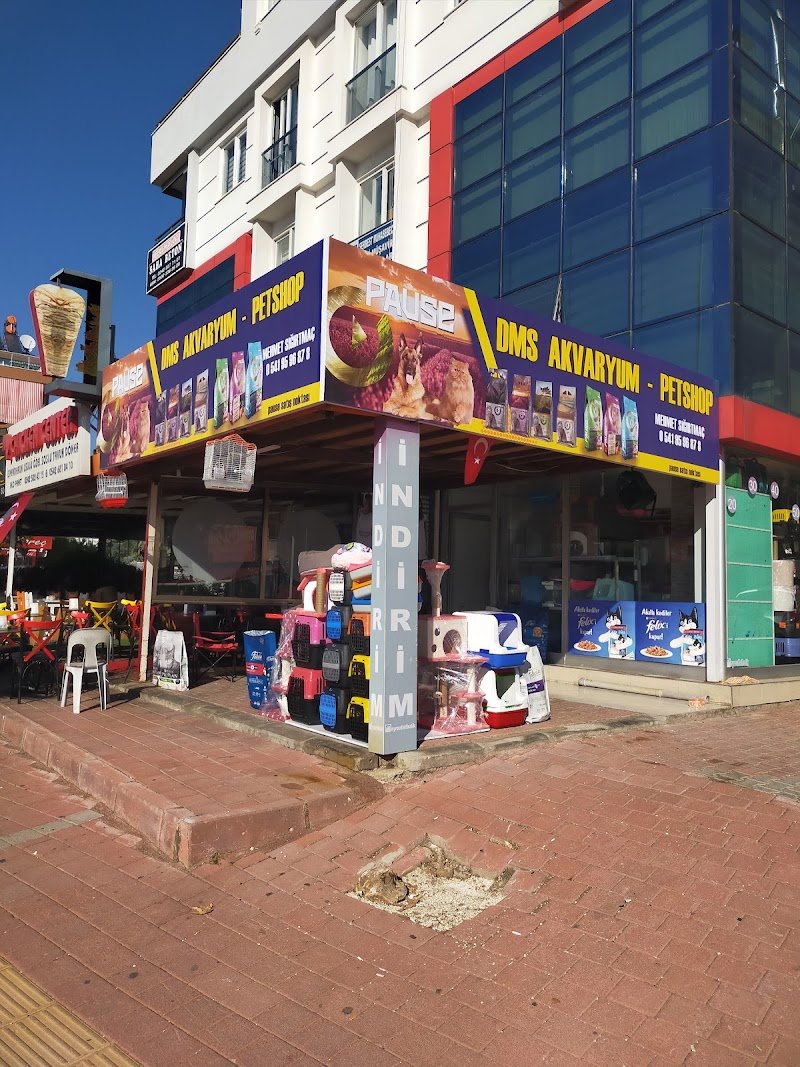DMS AKVARYUM PETSHOP